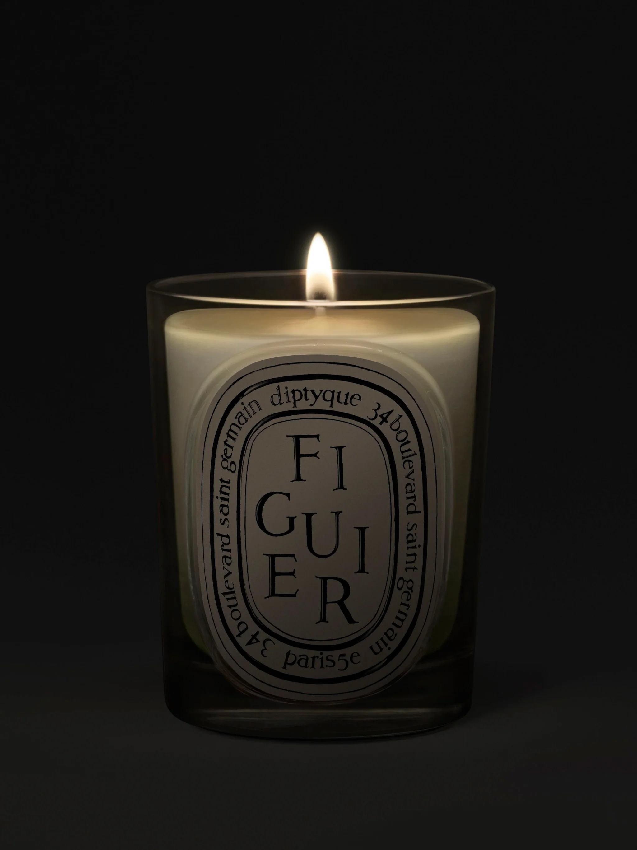 Figuier (Fig Tree) - Classic Candle - Image 2