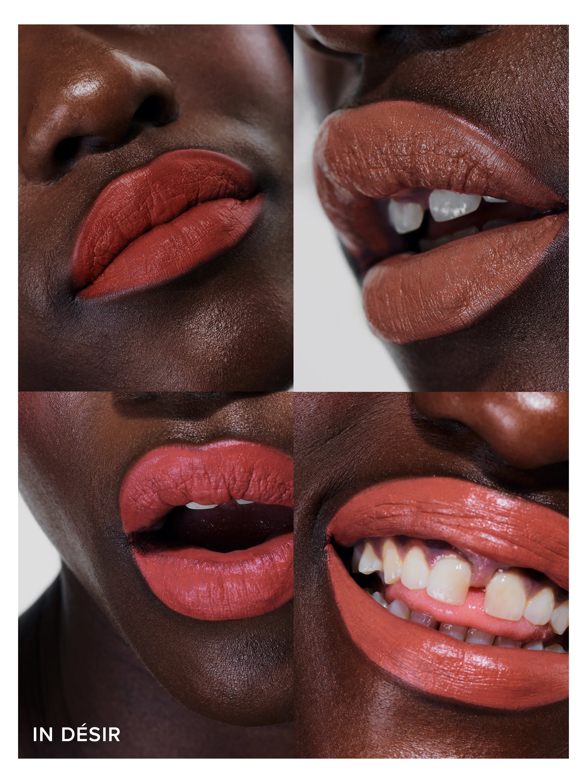 La Palette - Image 9